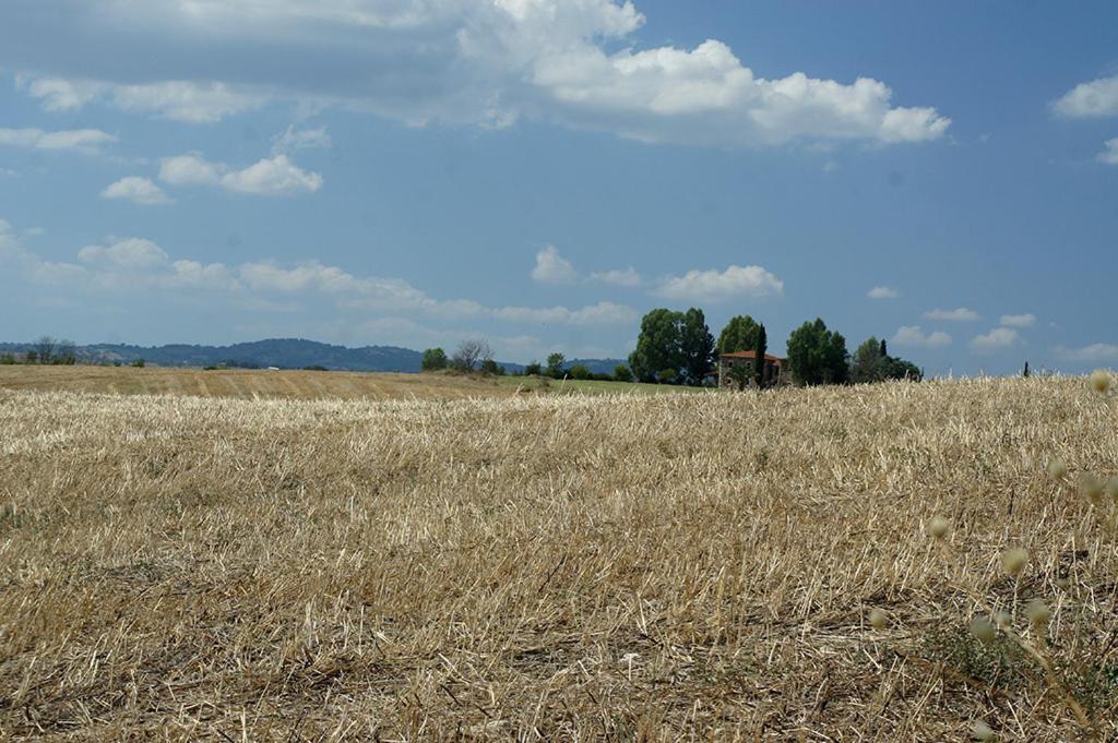 Poggio Alle Calle Landhaus