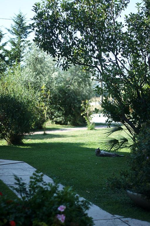 Poggio Alle Calle Casa de Campo Saturnia